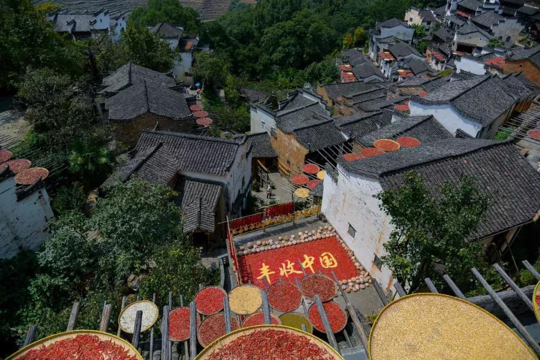 篁岭第八届晒秋节,篁岭丰收节