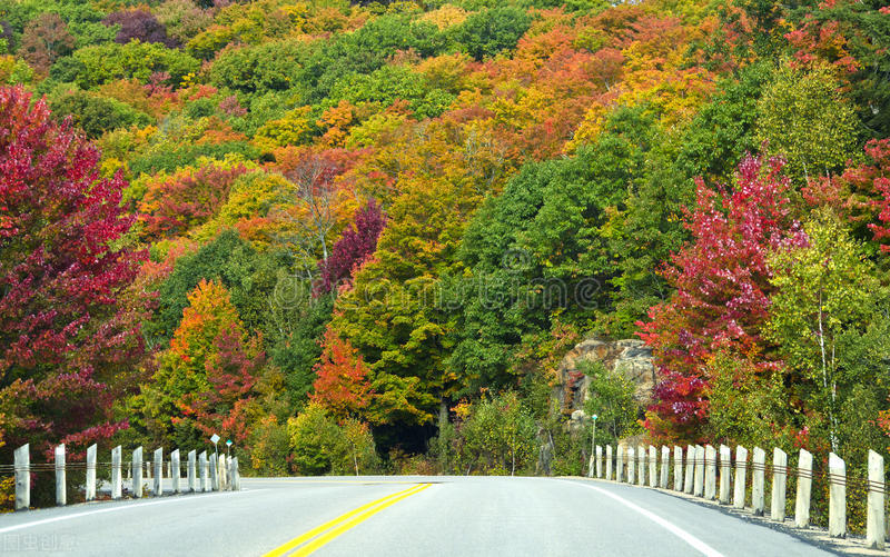 旅游公路景观设计原则,公路景观绿化设计