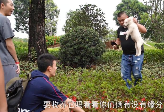 鹿晗踢足球被小朋友撕名牌,鹿晗和吴磊打戏扔手榴弹