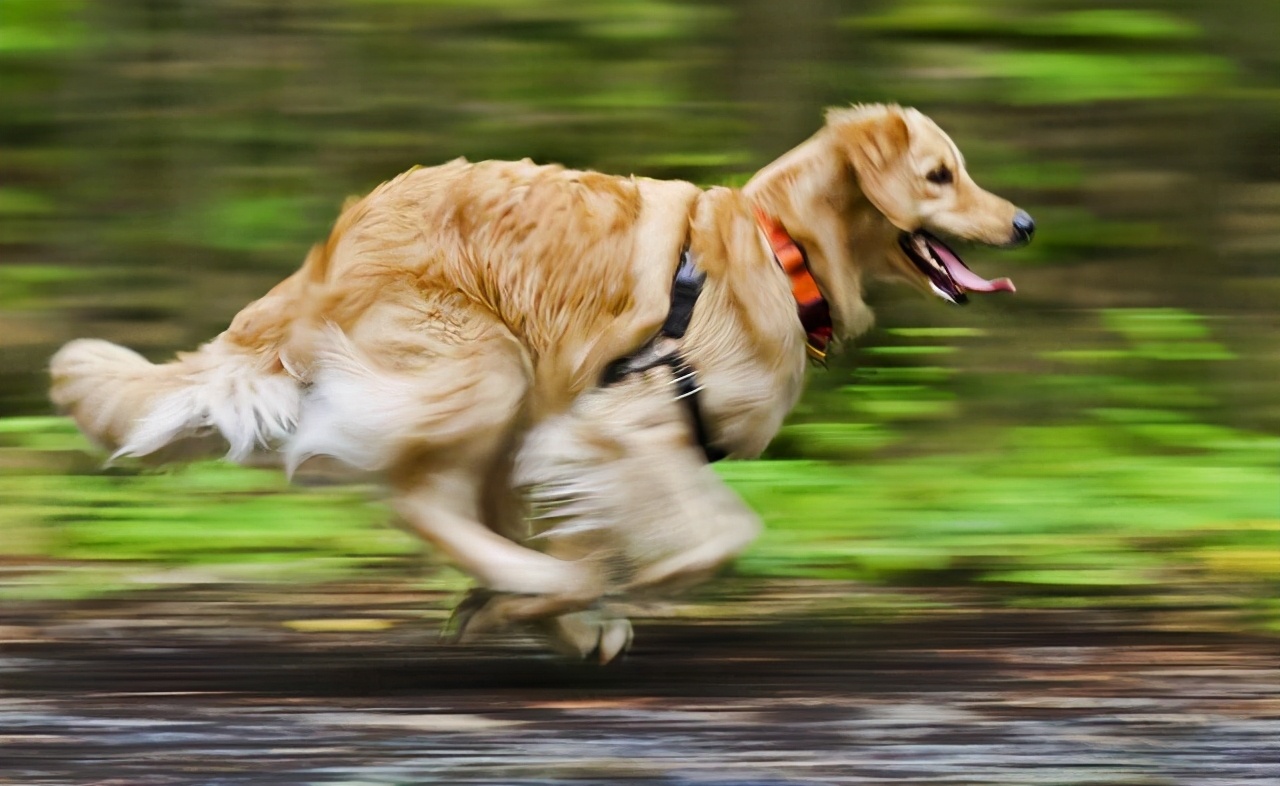閲戞瘺骞肩姮鎸戦鏈変粈涔堣В鍐崇殑鏂规硶,閲戞瘺鎸戦鏈変粈涔堣В鍐崇殑鏂规硶