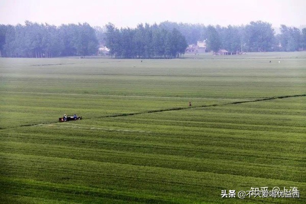 安徽为什么就两个三线城市,安徽为什么会分三个区域