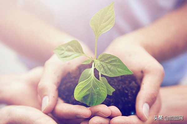 适合兼职的十大网络任务平台,适合兼职的十大副业知乎