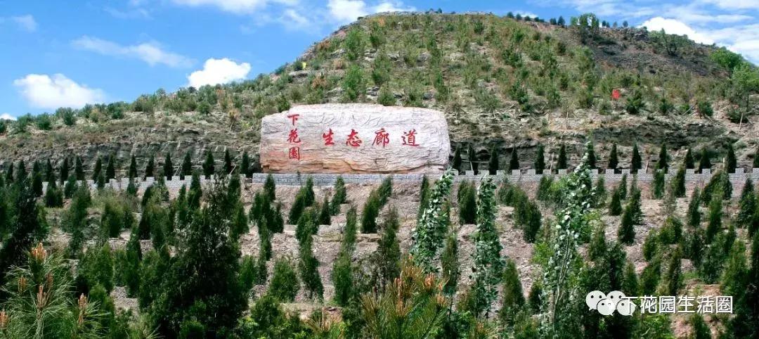 芳华70,芳华70年代的回忆