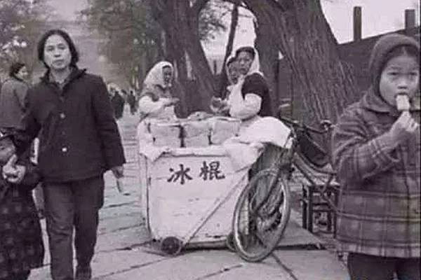 把狗毛都剃了狗会生气吗,把狗毛全部剃完跳蚤就没吗