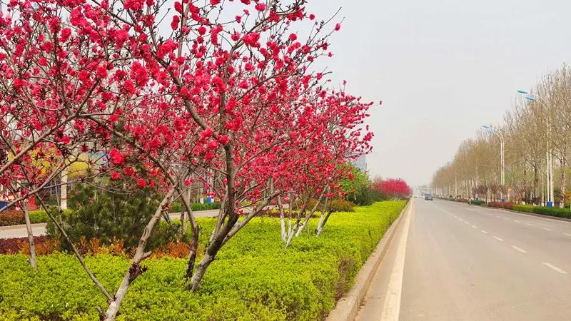 花团锦簇的峰峰是怎样炼成的？是时候告诉你真相了