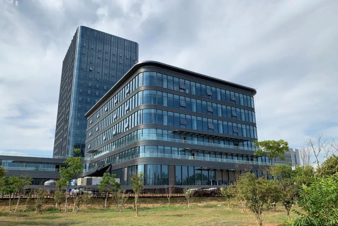 开挂了！比肩世界的爆款区域利好多到数不清！一般人已高攀不起