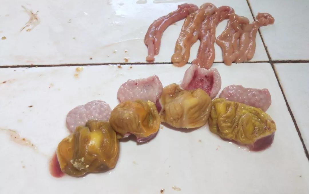 鸡腺胃和胃糜烂有什么区别,胃窦和胃体都糜烂严重吗