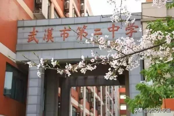 武汉有哪些是比较好的高中学校,湖北武汉好的小学中学