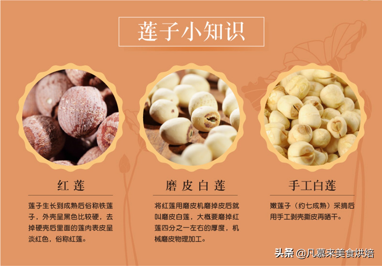 什么样的坚果又好吃又有营养,坚果类有哪些坚果种类