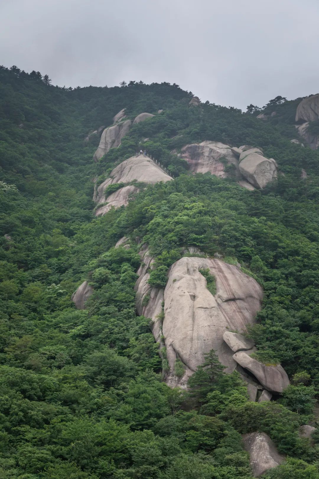 我国四大名山九华山,四大佛教名山哪个风景最美