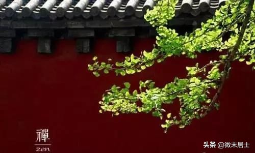 佛说一句话点醒无数人,佛说一句话悟透人生