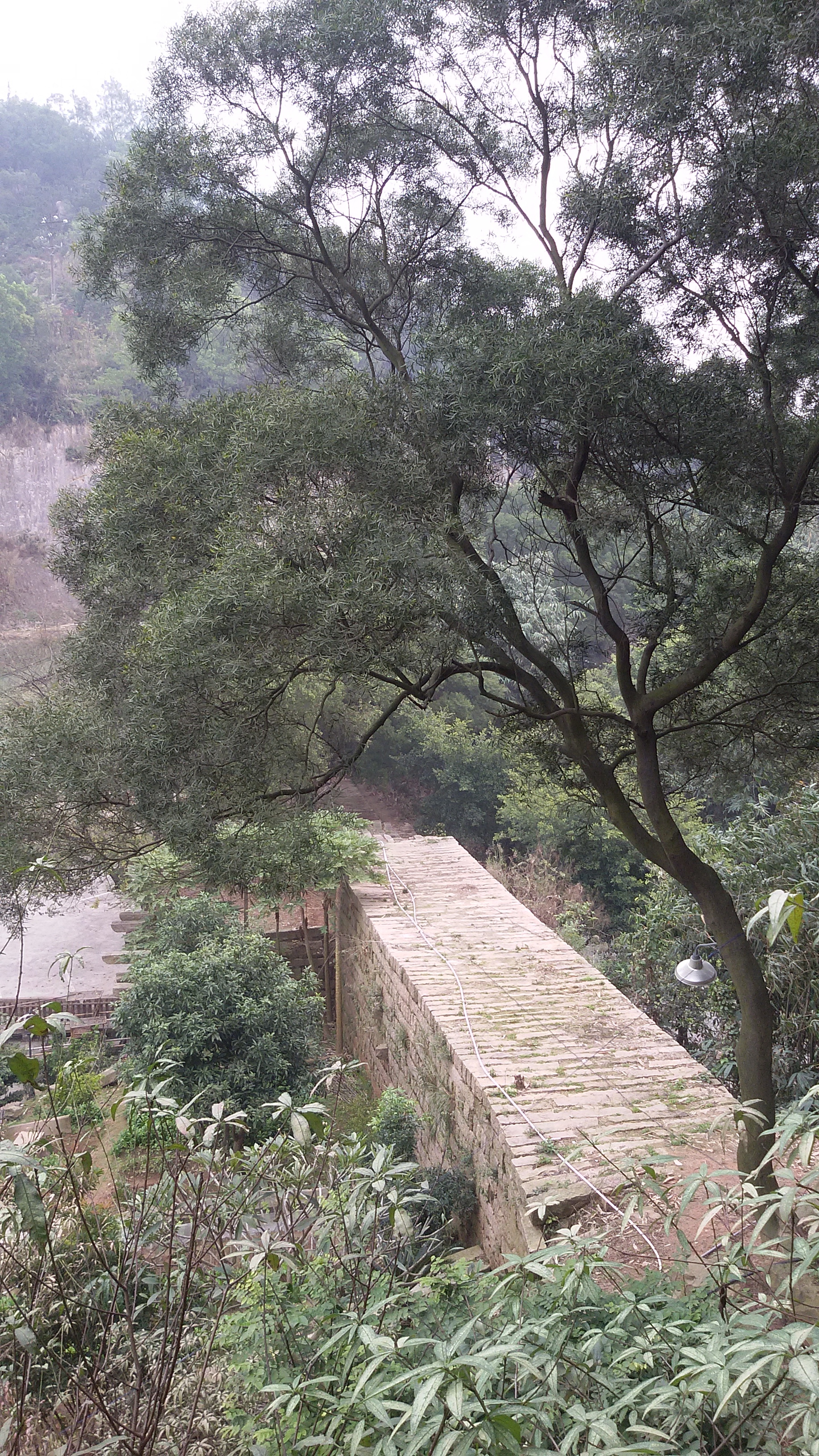 福建万松关,漳州万松关门票多少钱