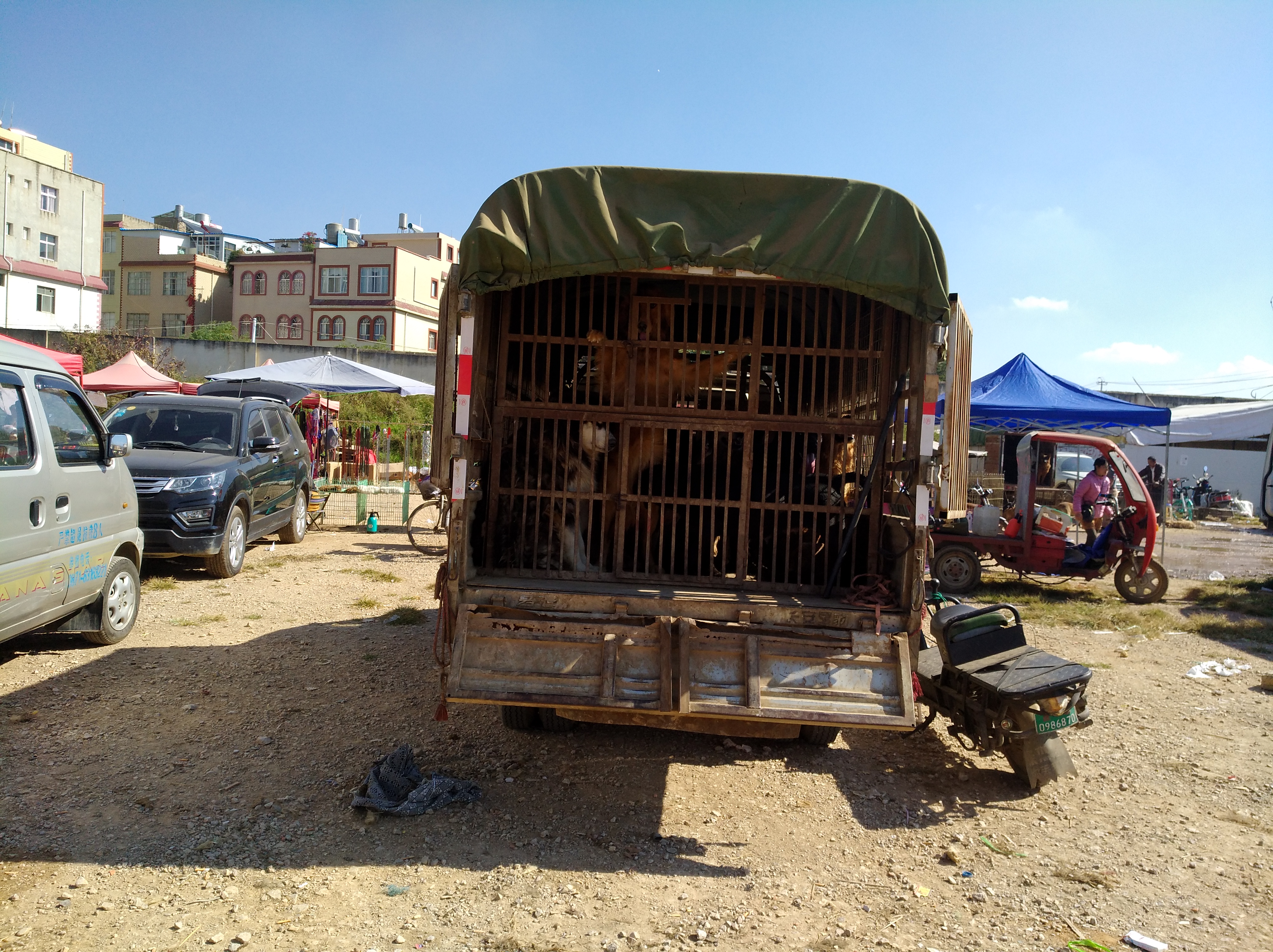 狗市是露天市场吗,狗市一般在哪