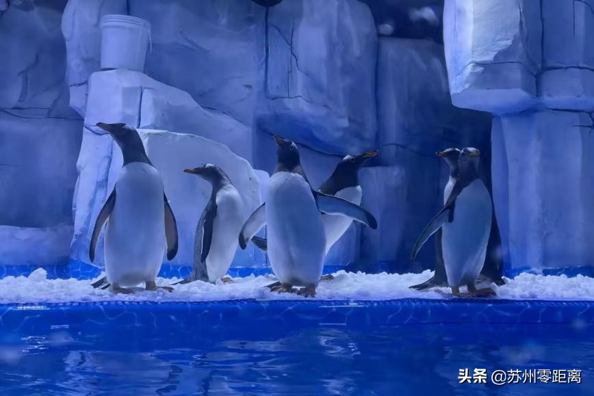 苏州值得去的146个宝藏地,苏州宝藏旅行地推荐