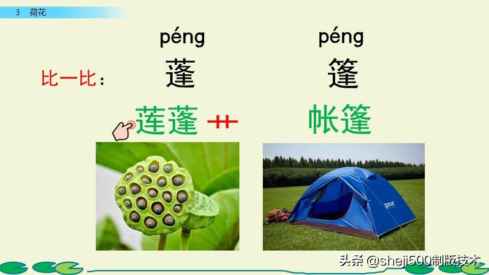 部编版三年级下册语文3荷花讲解,三年级下册部编语文荷花教学视频