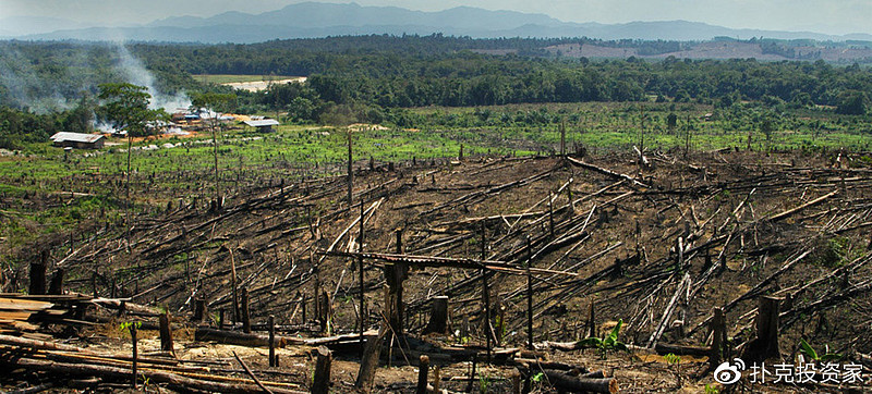 把地沟油变废为宝,地沟油物尽其用变废为宝