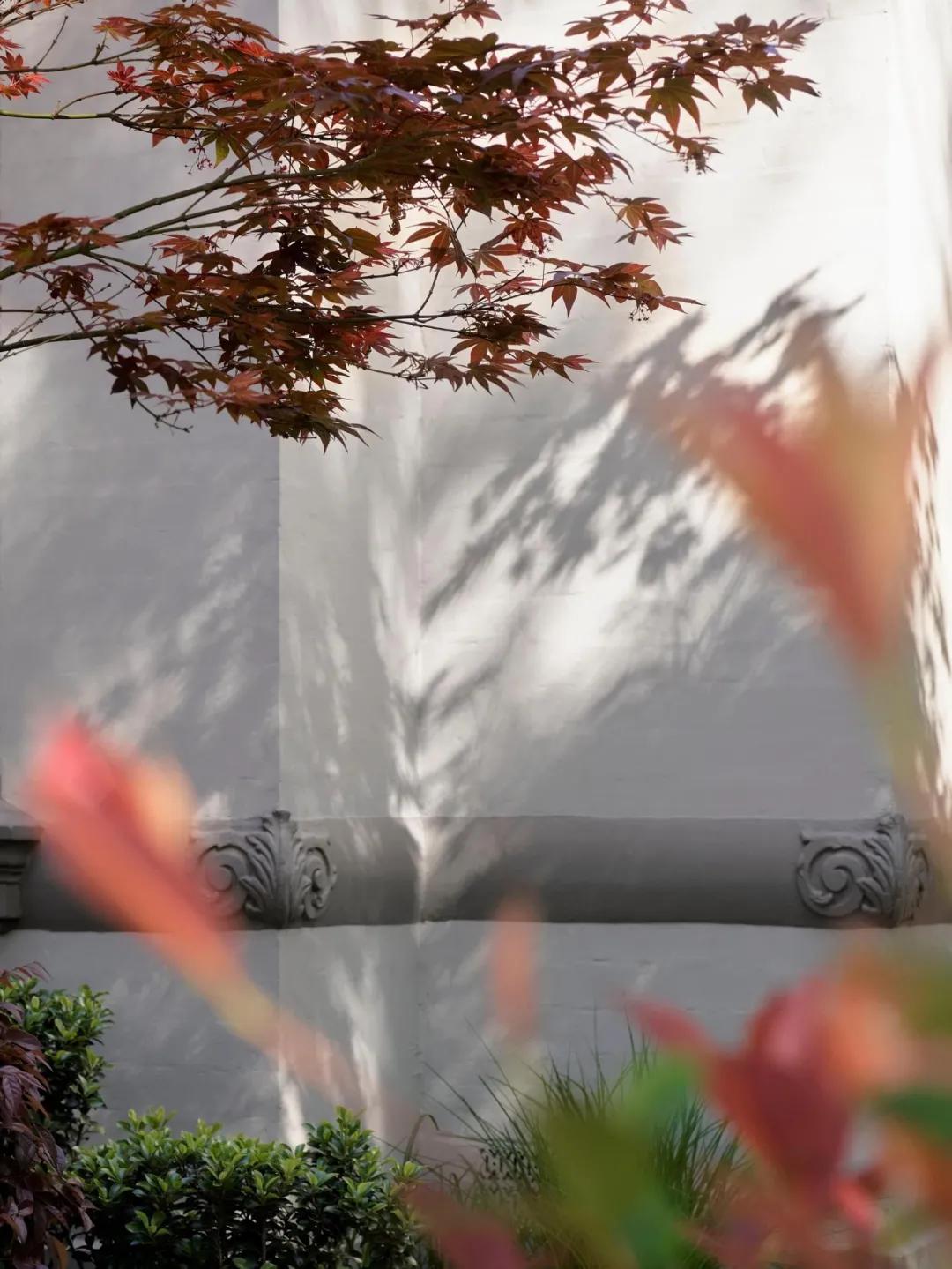 新作|色彩与纹理的深度