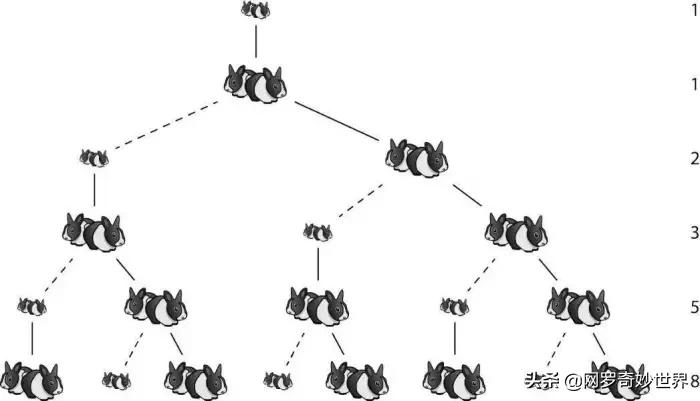 兔子有多吓人,兔子到底有多凶残