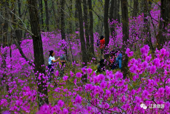 辽源周游旅游攻略,周游辽源