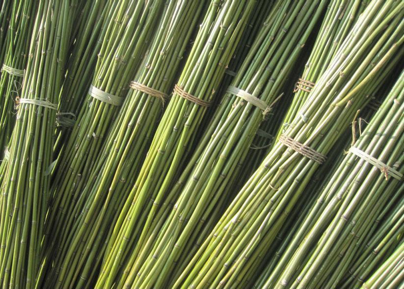 钓鱼人崩溃的时刻,钓鱼人崩溃瞬间