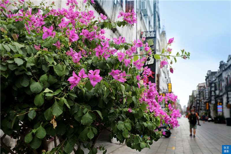 北海老街国庆,北海老街百年风情