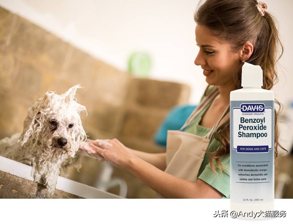 davis高端宠物洗护,davis强效清洁香波