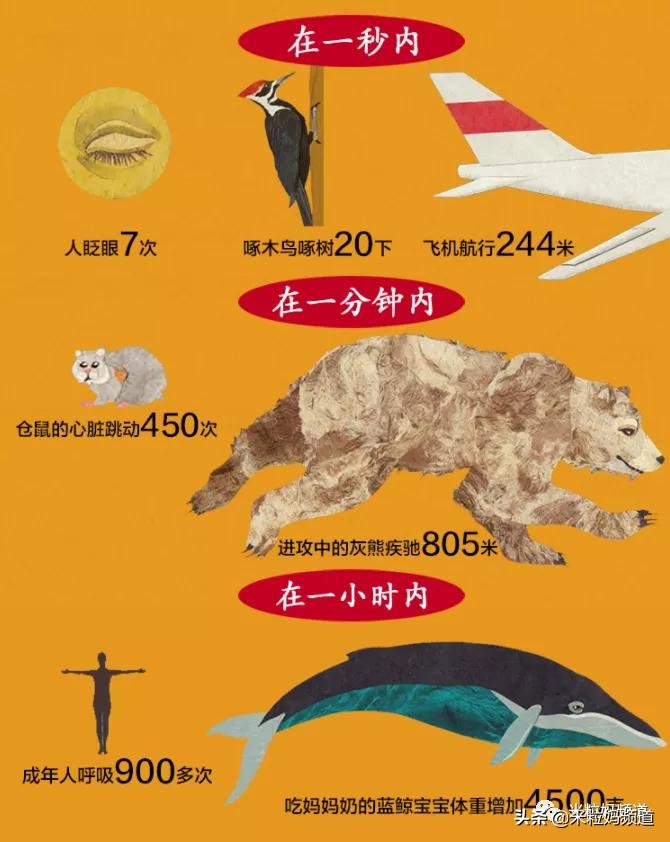 这届家长最后的倔强，就是自鸡数学