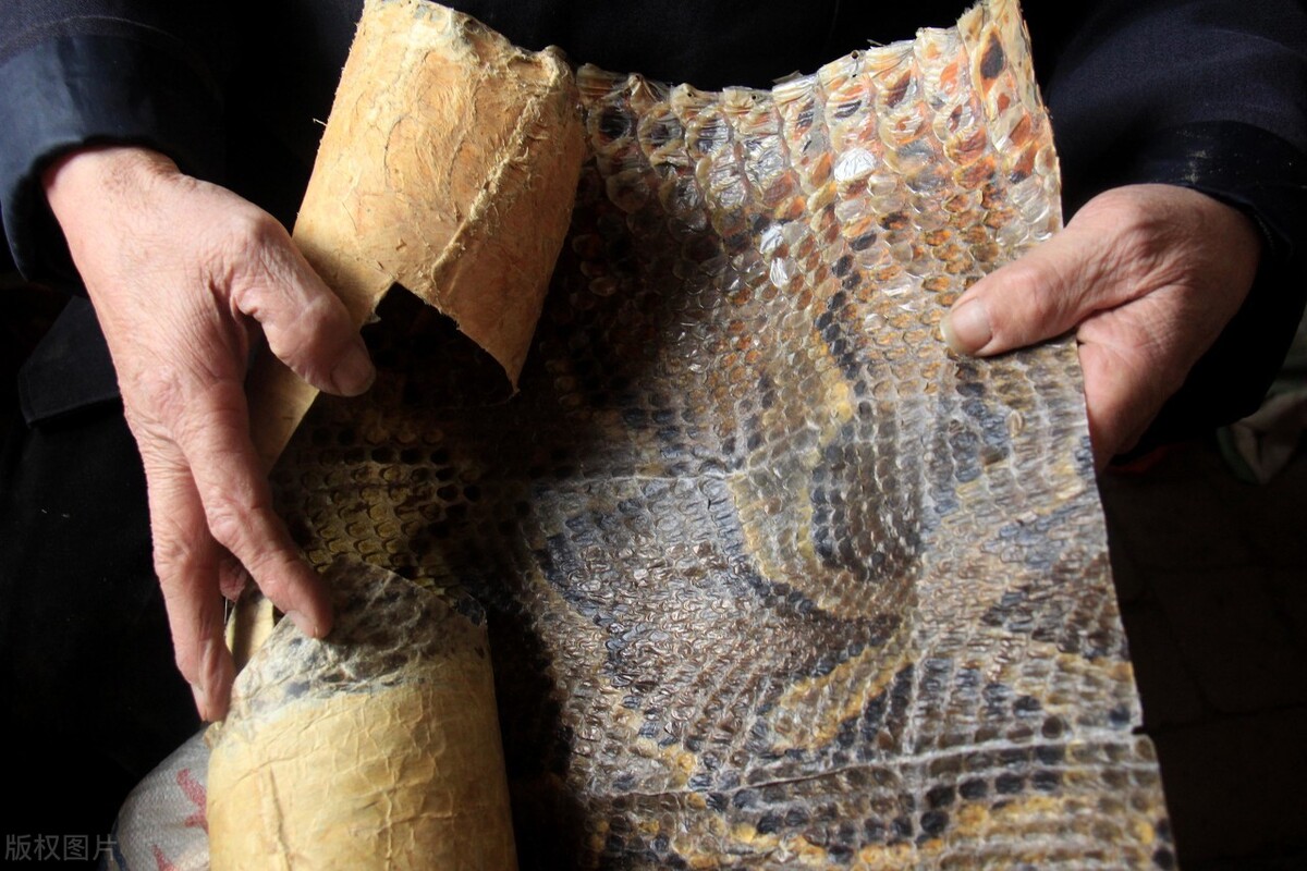 一把好琴的音色,怎样选二胡才是好二胡