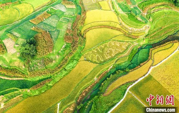 今日白露秋意渐浓,今日白露美句美文