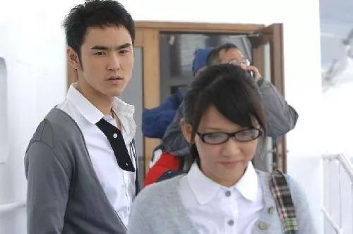 日版和台湾版流星花园,新流星花园在日本反响