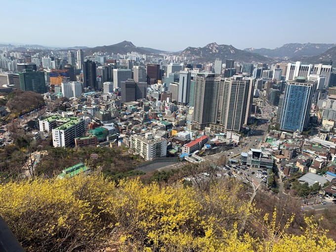 樱花韩国歌曲,樱花味的日语