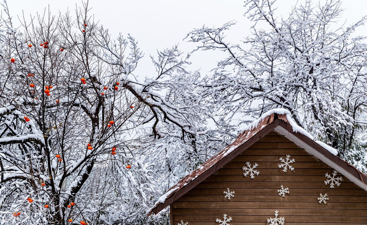 金佛山滑雪旅游攻略2日游,金佛山滑雪跟团攻略