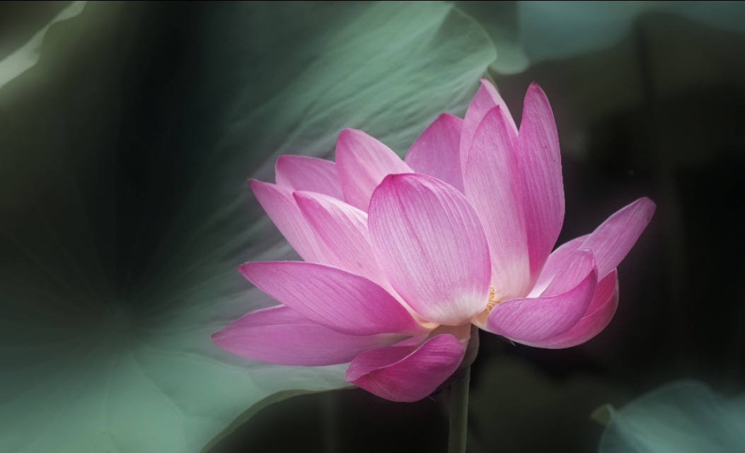 宾得k50配什么镜头最好,宾得k50光圈门解决办法