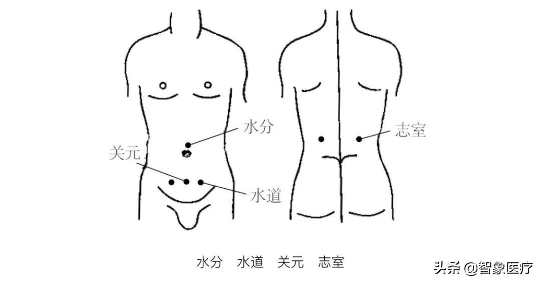 肚子大穴位埋线有效吗,穴位埋线腹部塑形