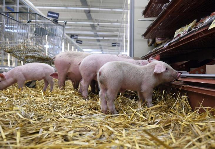 法国数十架飞机连夜飞向中国：只为向中国表达诚意