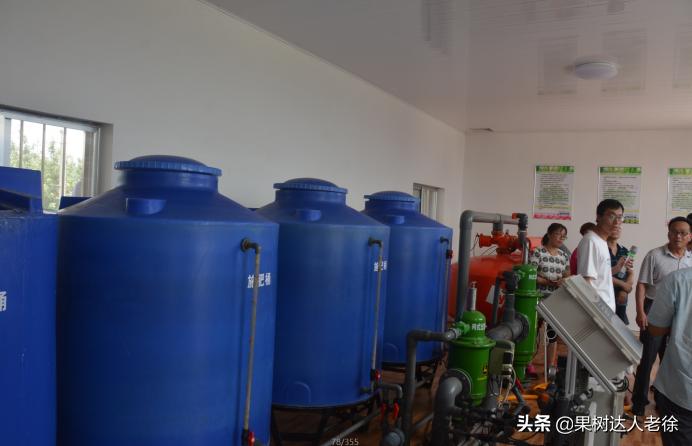 苹果矮化栽培管理,苹果矮化栽培的原理