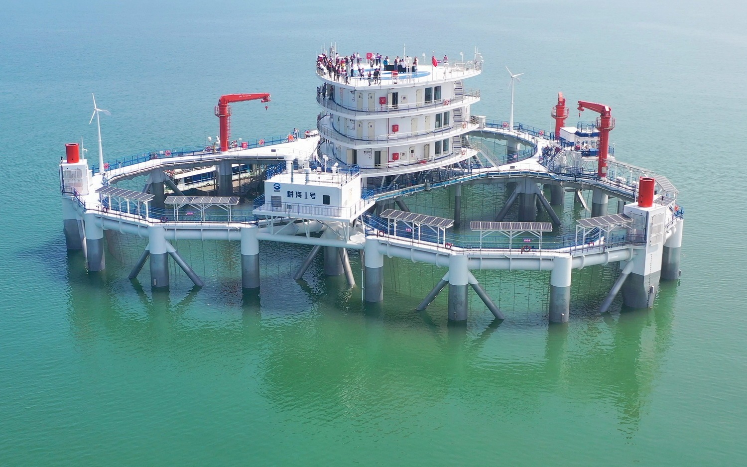 淡水鱼里面黑鱼是不是最厉害的,淡水鱼最强的是黑鱼吗