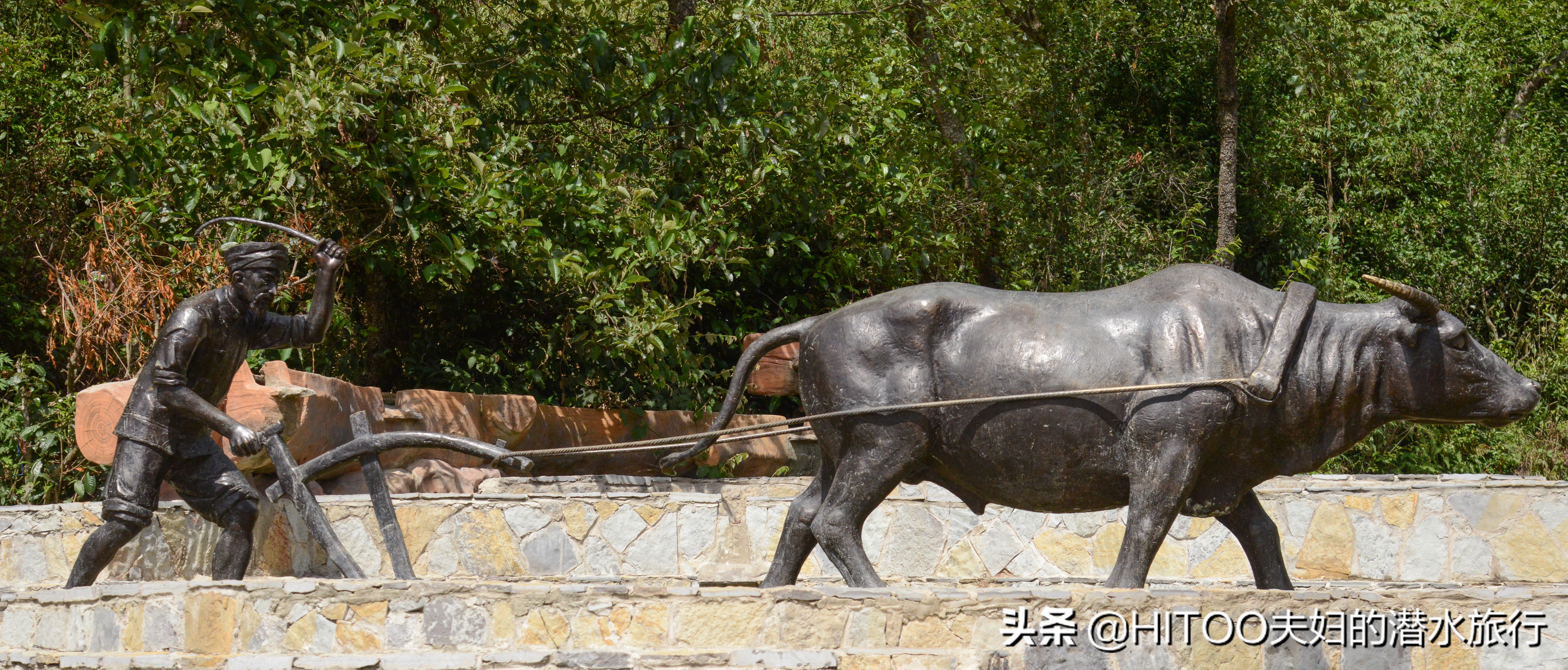 不花钱看元阳梯田自驾攻略,元阳梯田自驾游攻略