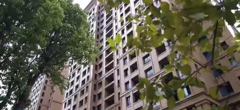 魔都豪宅全集,魔都核心地段豪宅