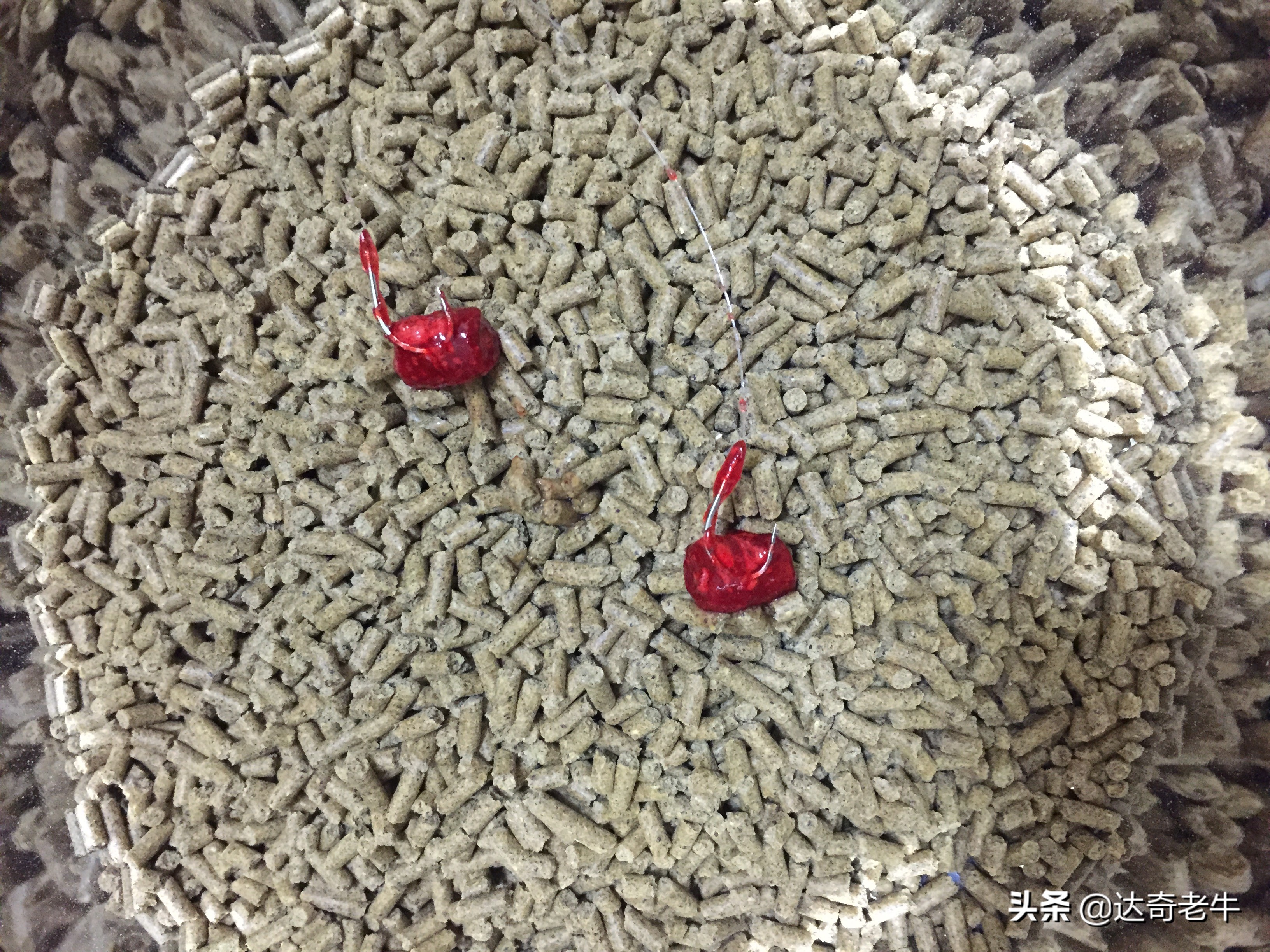 钓鱼饵料加小药真的有用吗,钓鱼料有危害吗