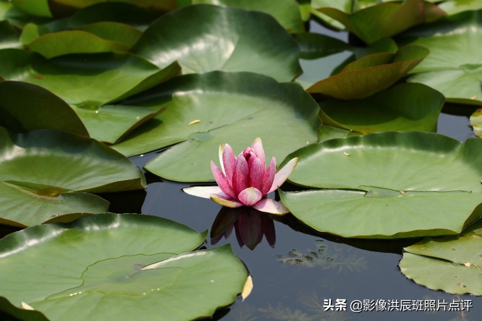 单反镜头有哪些小毛病,单反镜头容易碎吗为什么