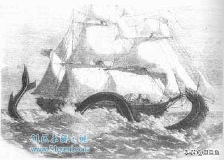 海洋巨蟒之谜纪录片,海洋巨蟒电影完整版