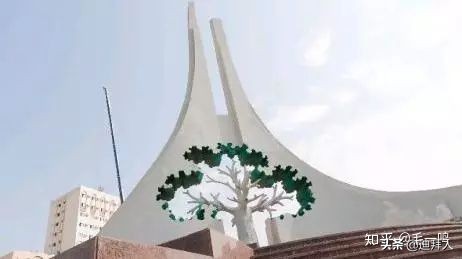 迪拜种一棵树,迪拜养一棵树成本