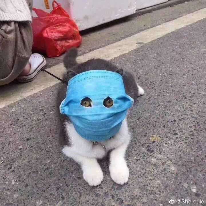 戴口罩百利无害？28岁后女生要注意起来了