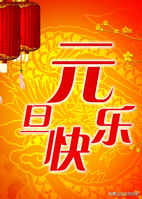 先有鸡还是先有蛋？来一节蛋蛋进化史