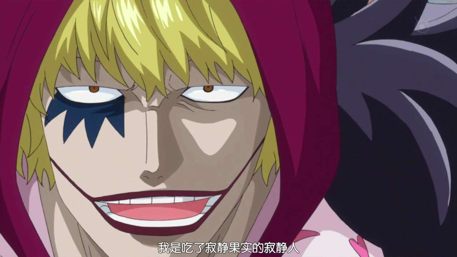 海贼王十大鸡肋恶魔果实,海贼王寂静果实