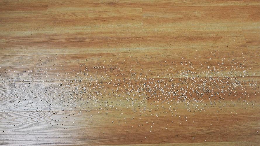 v11戴森吸尘器可水洗部分,戴森吸尘器全系列图解