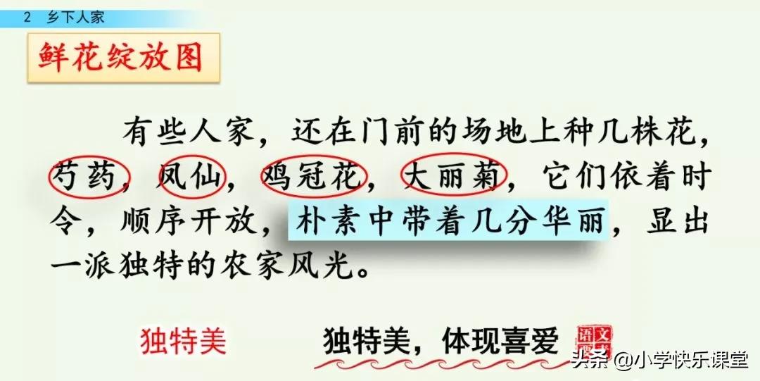 部编四年级下册语文乡下人家练习,部编版四年级下乡下人家同步练习