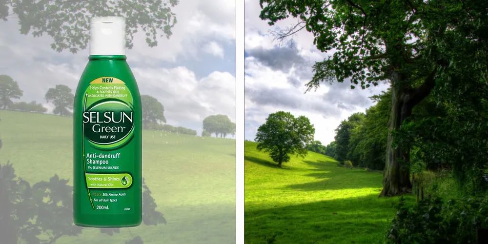 油头去屑控油止痒洗发水排行榜,超级大油头控油洗发水初中生