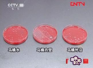 日本马桶清洁神器,日本懒人冲洗马桶